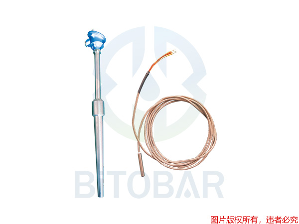 BTB-WD-630/191系列溫度計