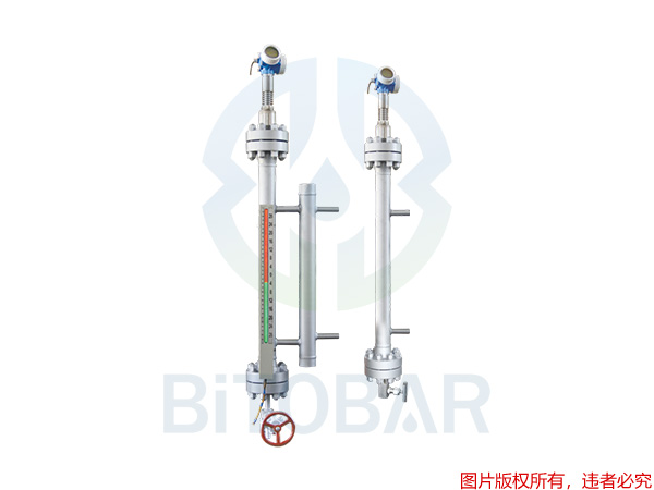 BTB-UDZ系列導波雷達液位計